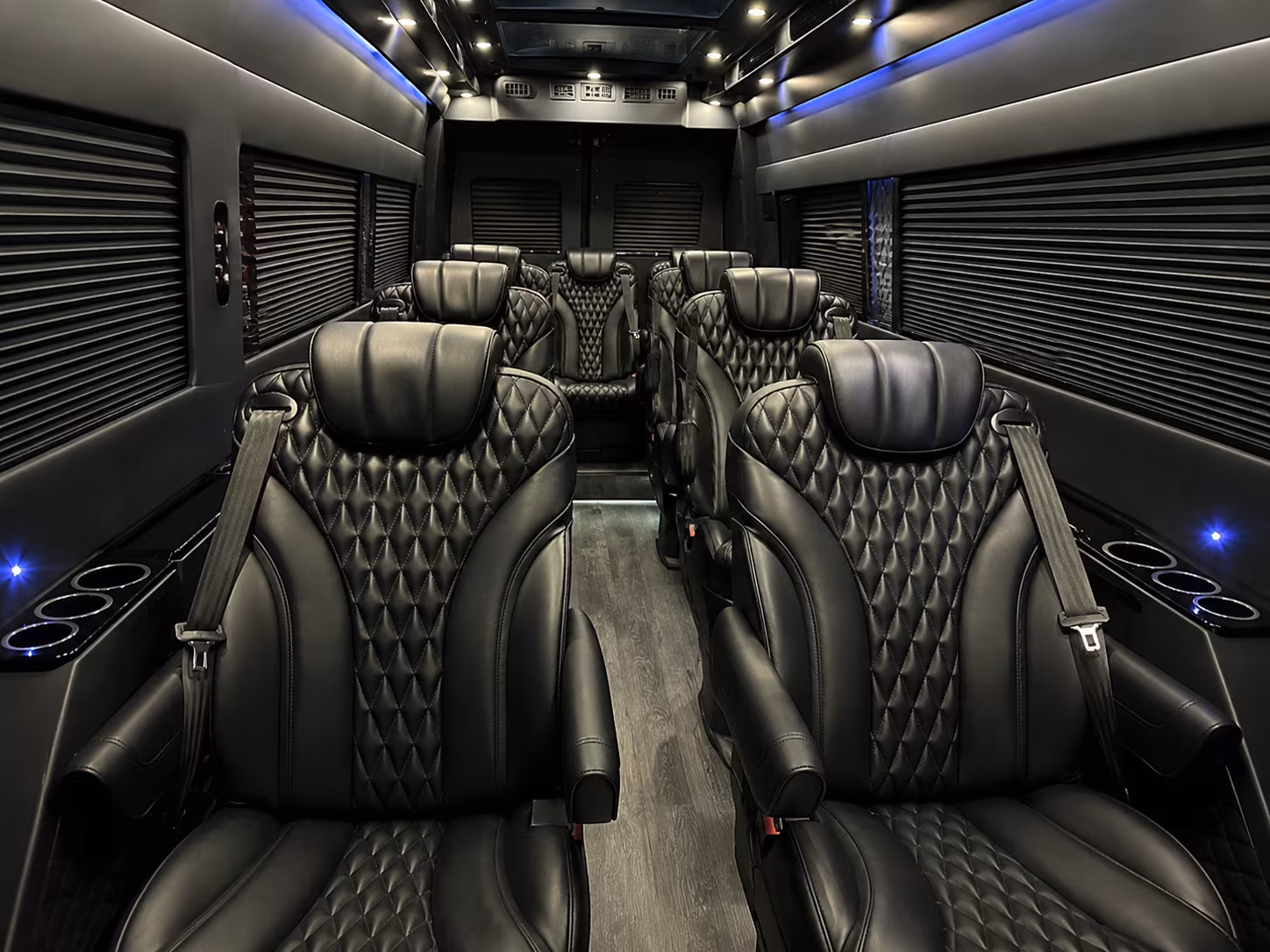 elk grove birthday party transportation onboard seating