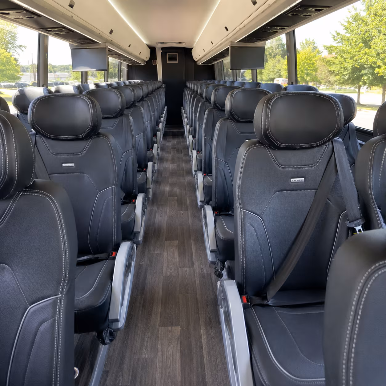 elk grove birthday party transportation